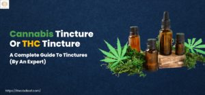 Cannabis Tincture Or THC Tincture. A Complete Guide To Tinctures (By An Expert)