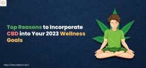 Top Reasons to Incorporate CBD into your 2023 Wellness Goals