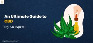 An Ultimate Guide to CBD (By An Expert)