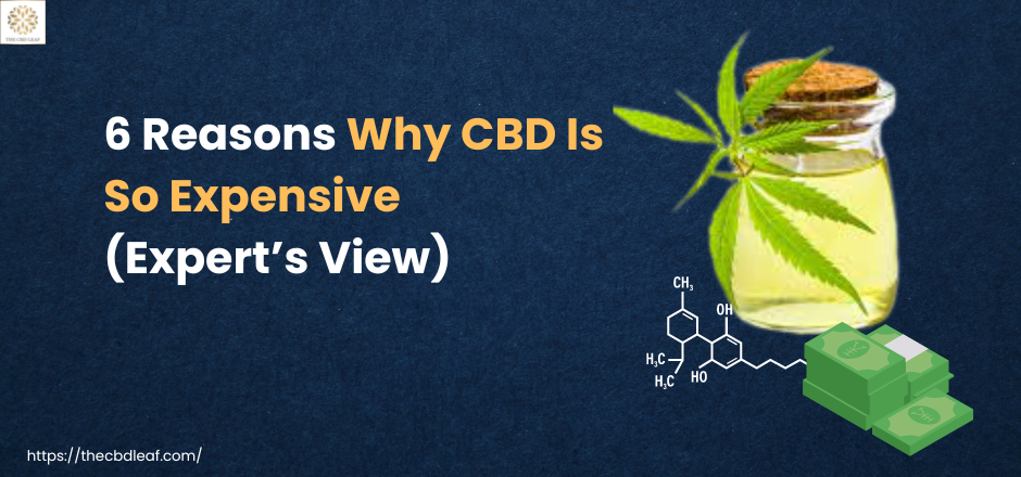 6 Reasons Why CBD Is So Expensive (Expert’s View)