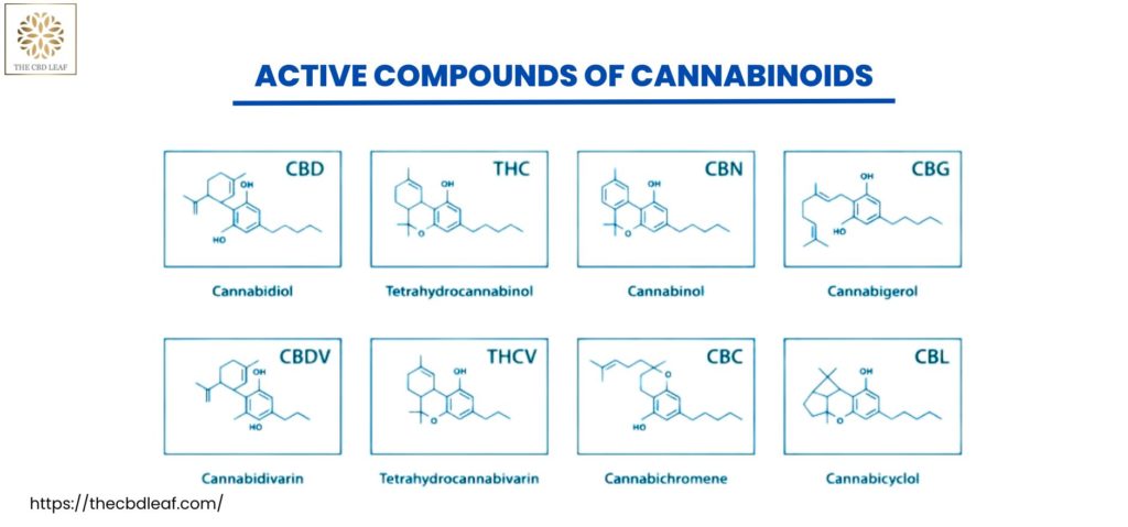 Active Compounds of Cannabinoids